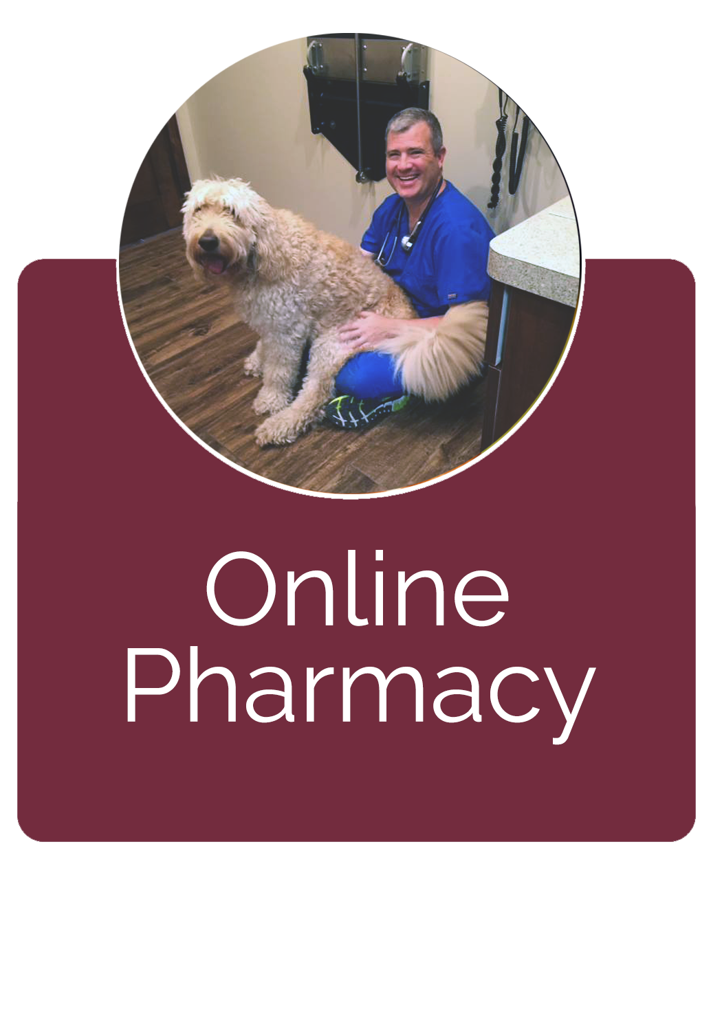 Advanced Veterinary Care Veterinarian serving Blaine, Andover, Ham